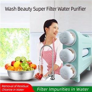 Plastikform des Wasserfilters